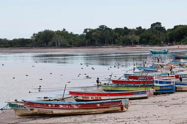 Sisma a Panama, agenzia Usa dirama allerta tsunami per l'est Pacifico