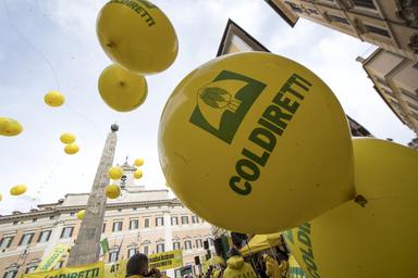 Allarme Coldiretti Marche, 'mucillagine mette a rischio la piccola pesca'