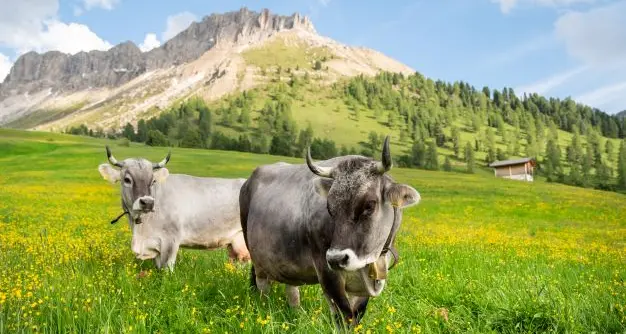 “Una montagna sostenibile non modellata alle esigenze turistiche”. Le proposte del Cai