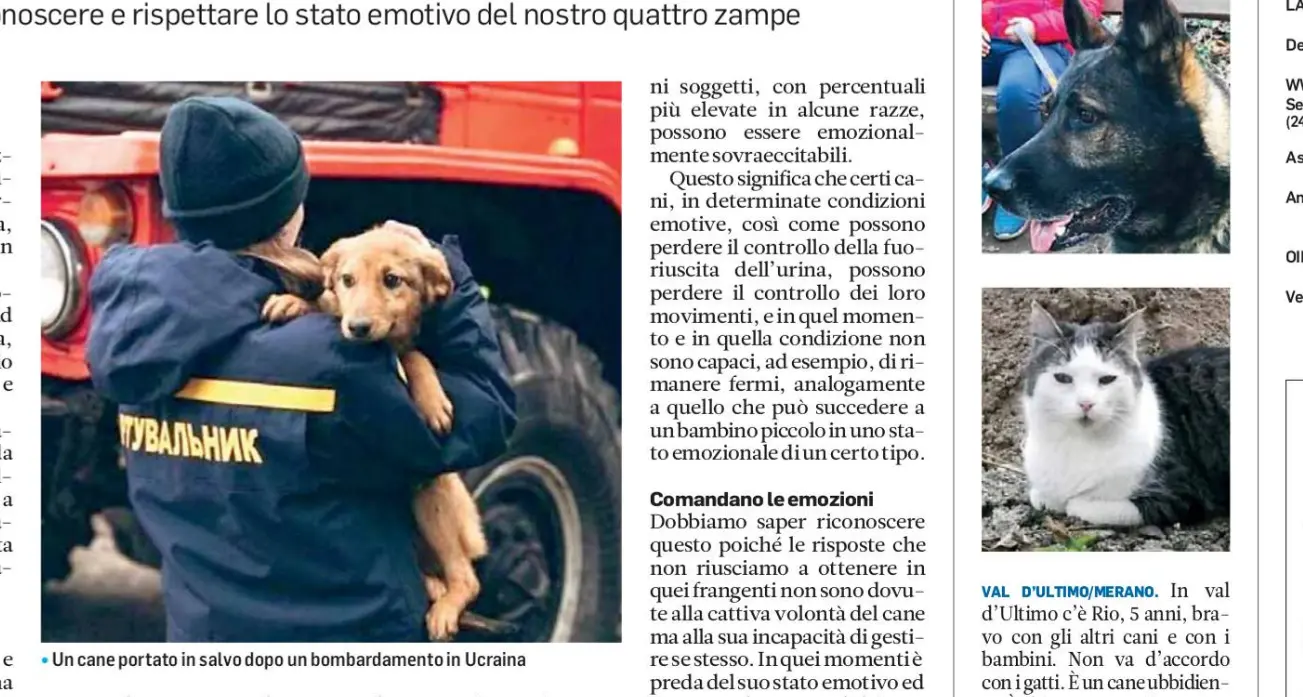 Quando il cane Fido è sotto stress cala il controllo delle emozioni