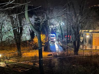 Sui vestiti di Liliana Resinovich il Dna di un uomo sconosciuto