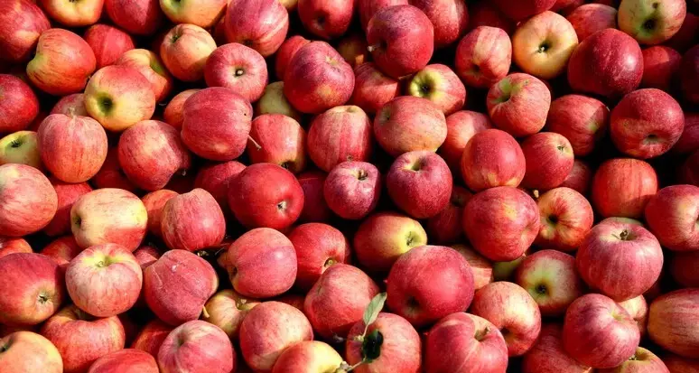 I prodotti di qualità dell’Alto Adige scelti perché “sostenibili”