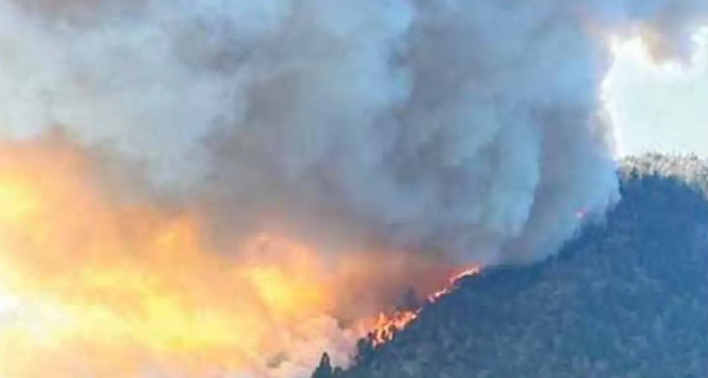 In val Venosta il bosco brucia ancora: oltre 400 vigili del fuoco impegnati in prima linea