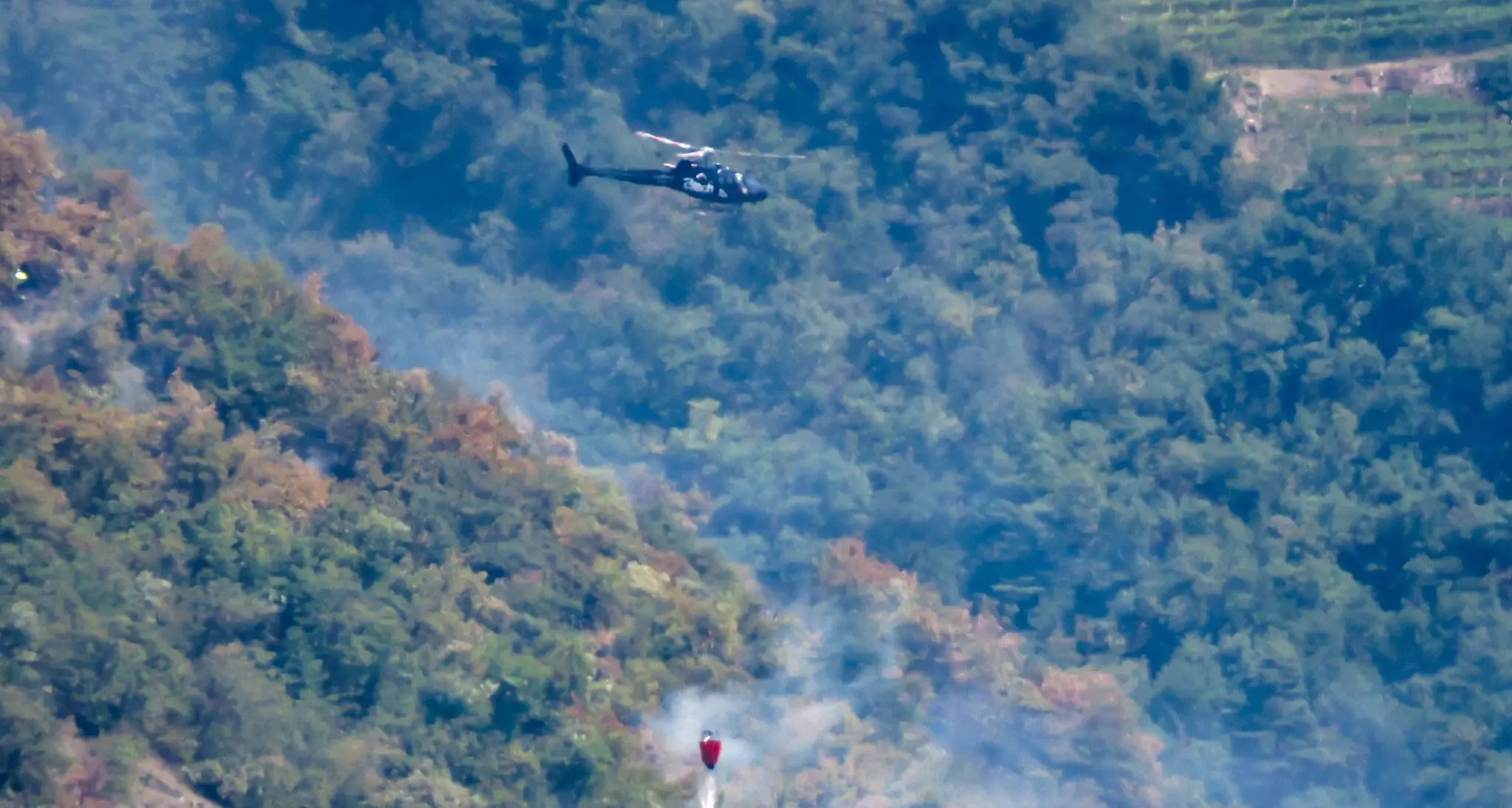 Guncina, rogo sotto controllo: rientrano a casa le famiglie evacuate