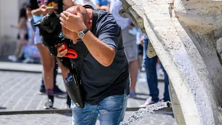Riccardo Antimiani / Z72