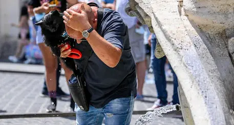 Caldo record nel siracusano: toccati 48.8 gradi. Venerdì Bolzano da bollino rosso