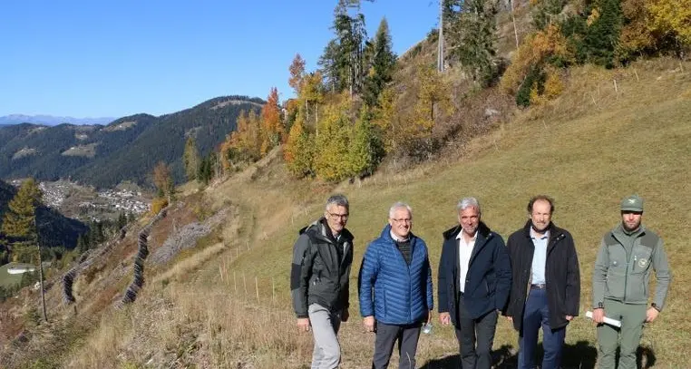 A tre anni da Vaia il 95 % degli alberi caduti in Alto Adige è stato rimosso e lavorato