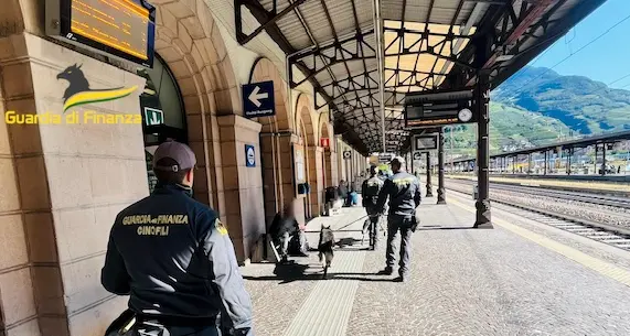 Viaggiava sul bus con l’hashish nascosto in un contenitore per alimenti: smascherato al confine con la Svizzera
