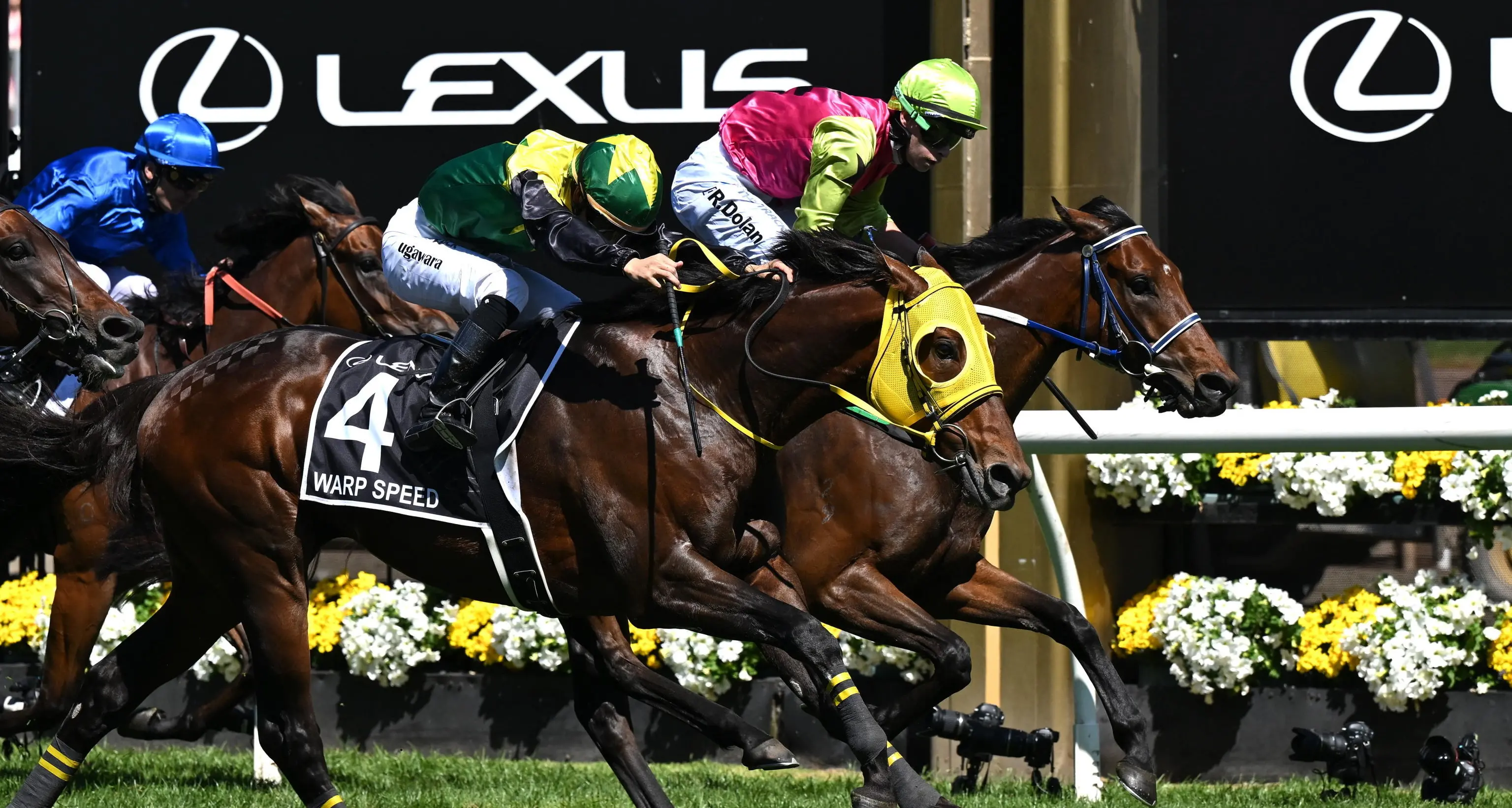 Ippica: Knights Choice vince la Melbourn Cup, Buckaroo nono