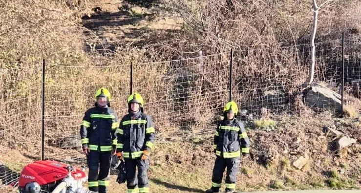 Incendio in val Venosta, persi 90 ettari di foresta: un progetto per far rinascere la zona boschiva