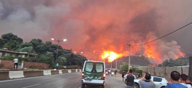 Incendi boschivi in Algeria, almeno 12 morti