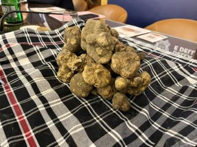 Conto alla rovescia per la Mostra Mercato del Tartufo Bianco di Gubbio