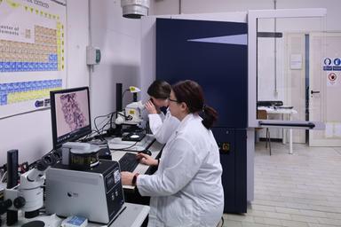 Dall'Ue 75 milioni di euro per 50 giovani ricercatori italiani