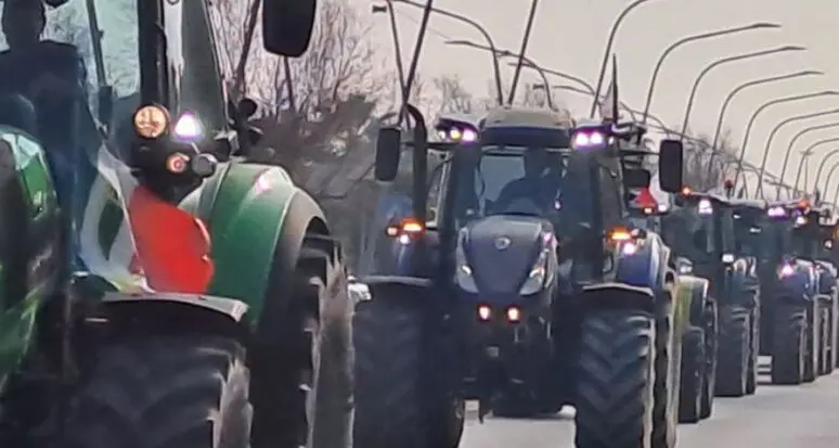 Bauernbund: «La protesta degli agricoltori è legittima. Reddito in picchiata»