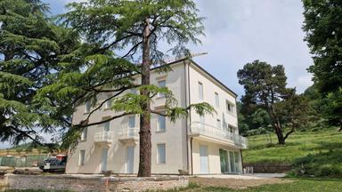 La Diocesi di Padova produrrà vino sui Colli Euganei