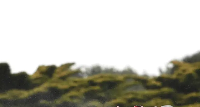 Moto:Australia; Bagnaia 'gestito gara,sono in testa al Mondiale'
