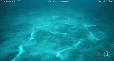 Nuovi camini idrotermali e un grande cratere sottomarino al largo di Panarea