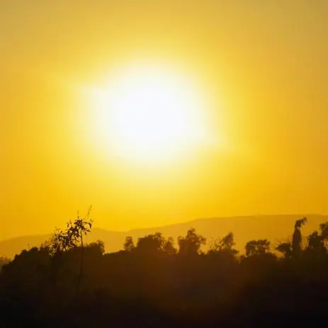 11 giorni torridi, mai un'ondata di caldo così lunga
