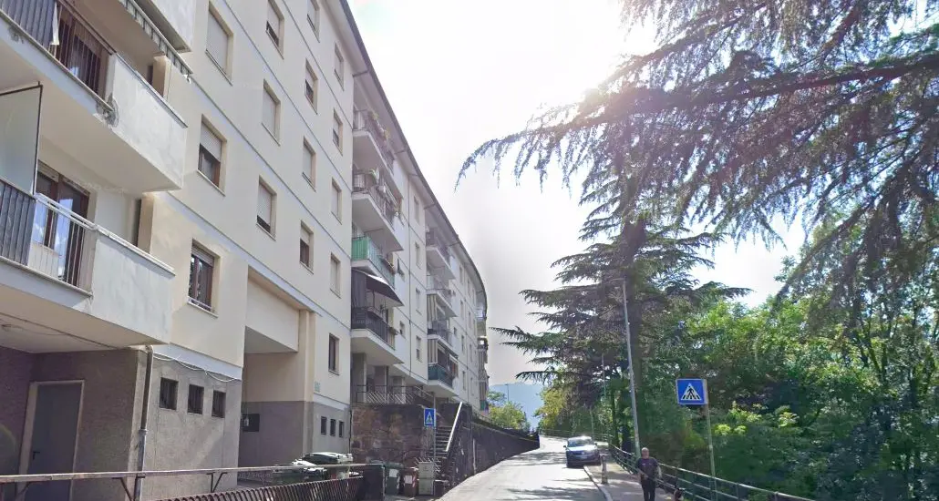 Cane aggredito da due pitbull ad Aslago: denuncia ai carabinieri
