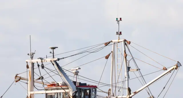 Pesca: ok ad accordo Ue-Gb su quote stock 2022