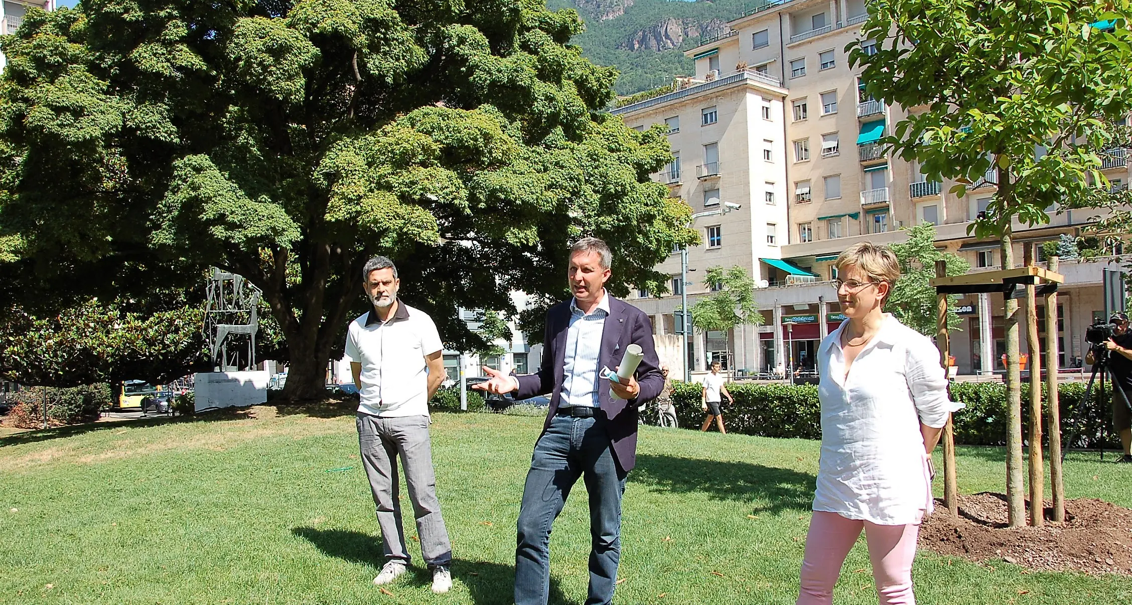 Piano alberi, a Bolzano messe a dimora 85 nuove piante
