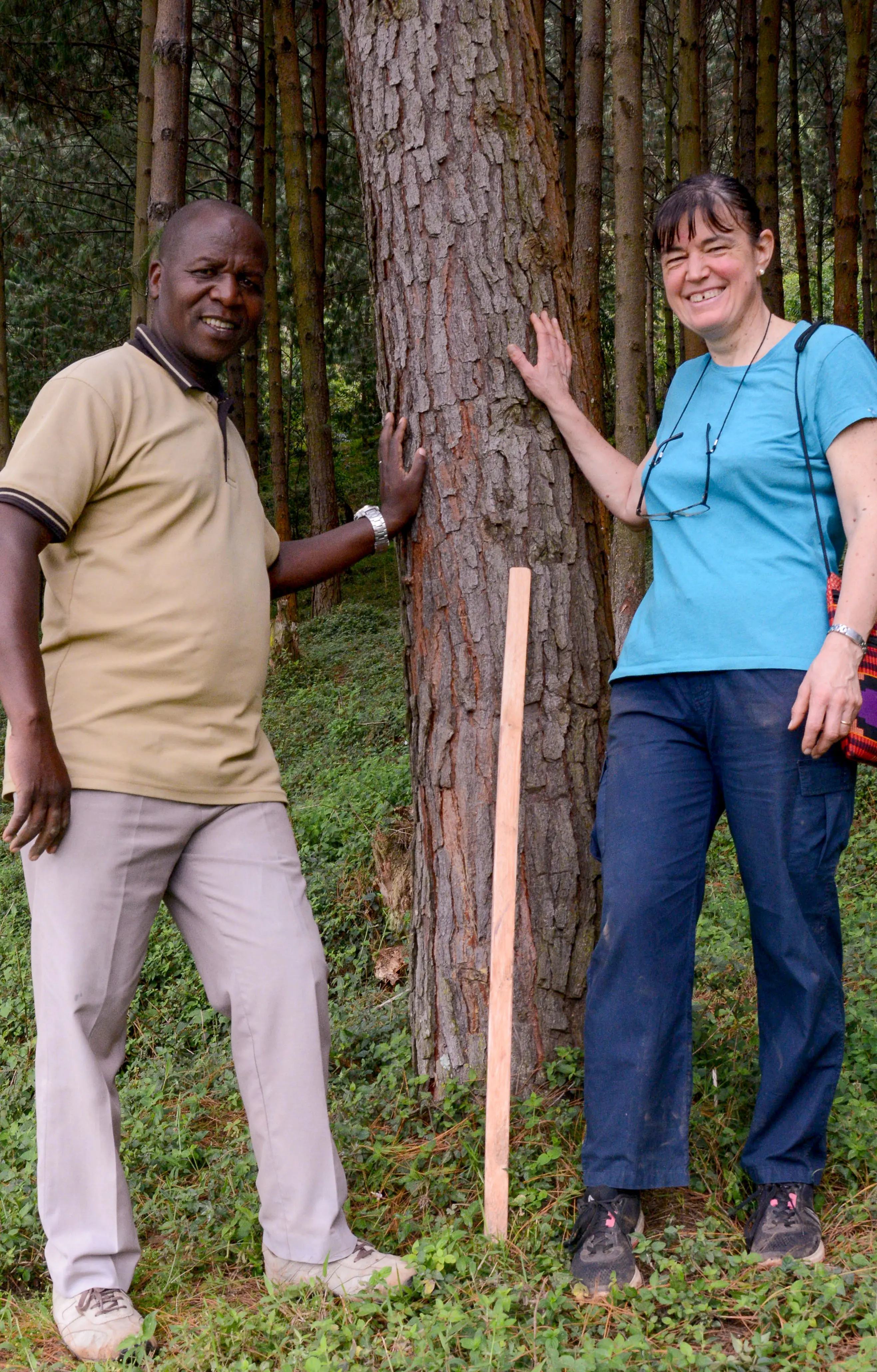 In Uganda saranno piantati 70.000 alberi 'altoatesini'
