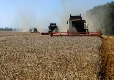 Agea, i dati "petrolio" dell'agroalimentare per crescita sistema Paese