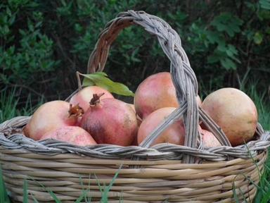 Autunno al mercato, prezzi dei melograni in calo del 3% in una settimana
