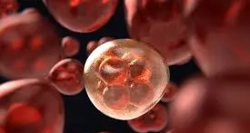 Cala la mortalità per tumori, ma pancreas e polmone preoccupano