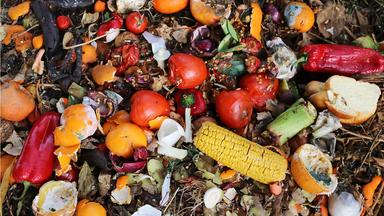 In Italia si spreca cibo per 13,5 miliardi di euro, oltre la metà nelle case