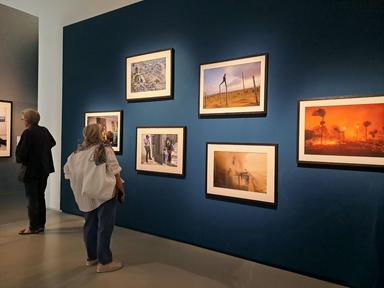 Elton John e la Fragile bellezza del secolo in mostra