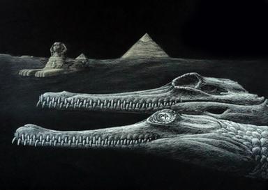 Una nuova specie di coccodrillo scoperta nelle rocce usate per la Sfinge