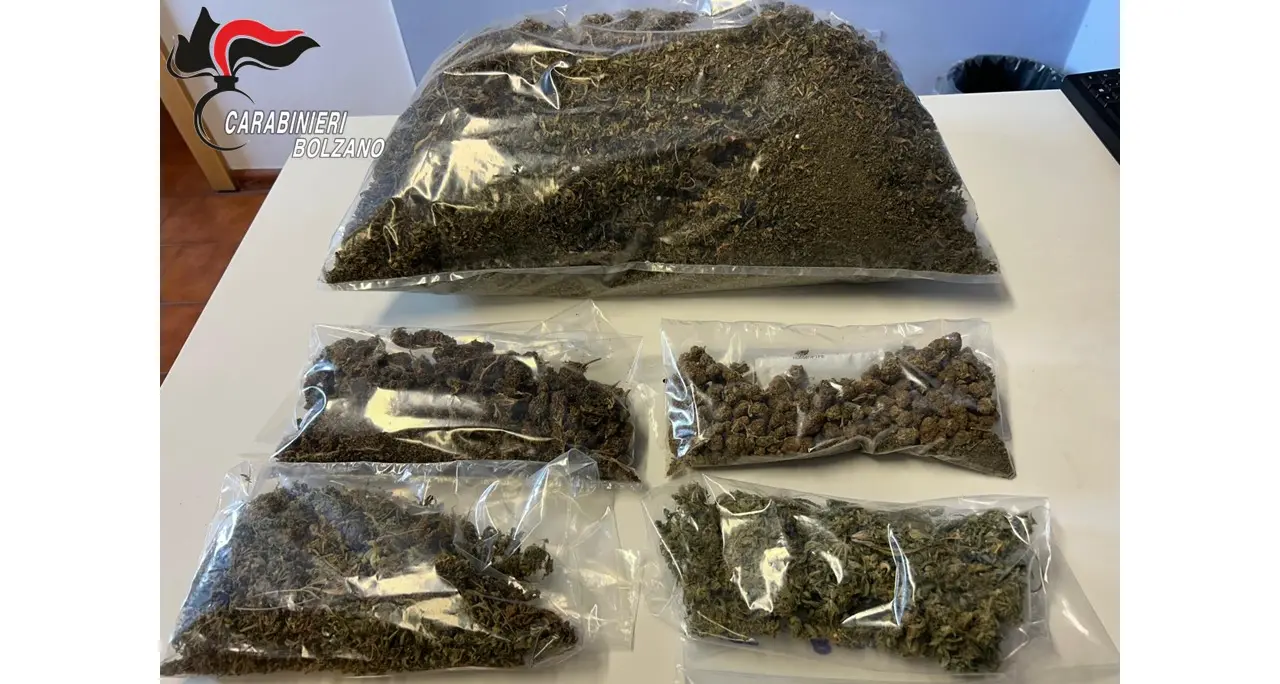 Coltivavano la marijuana in casa: i carabinieri sequestrano un chilo e mezzo di droga