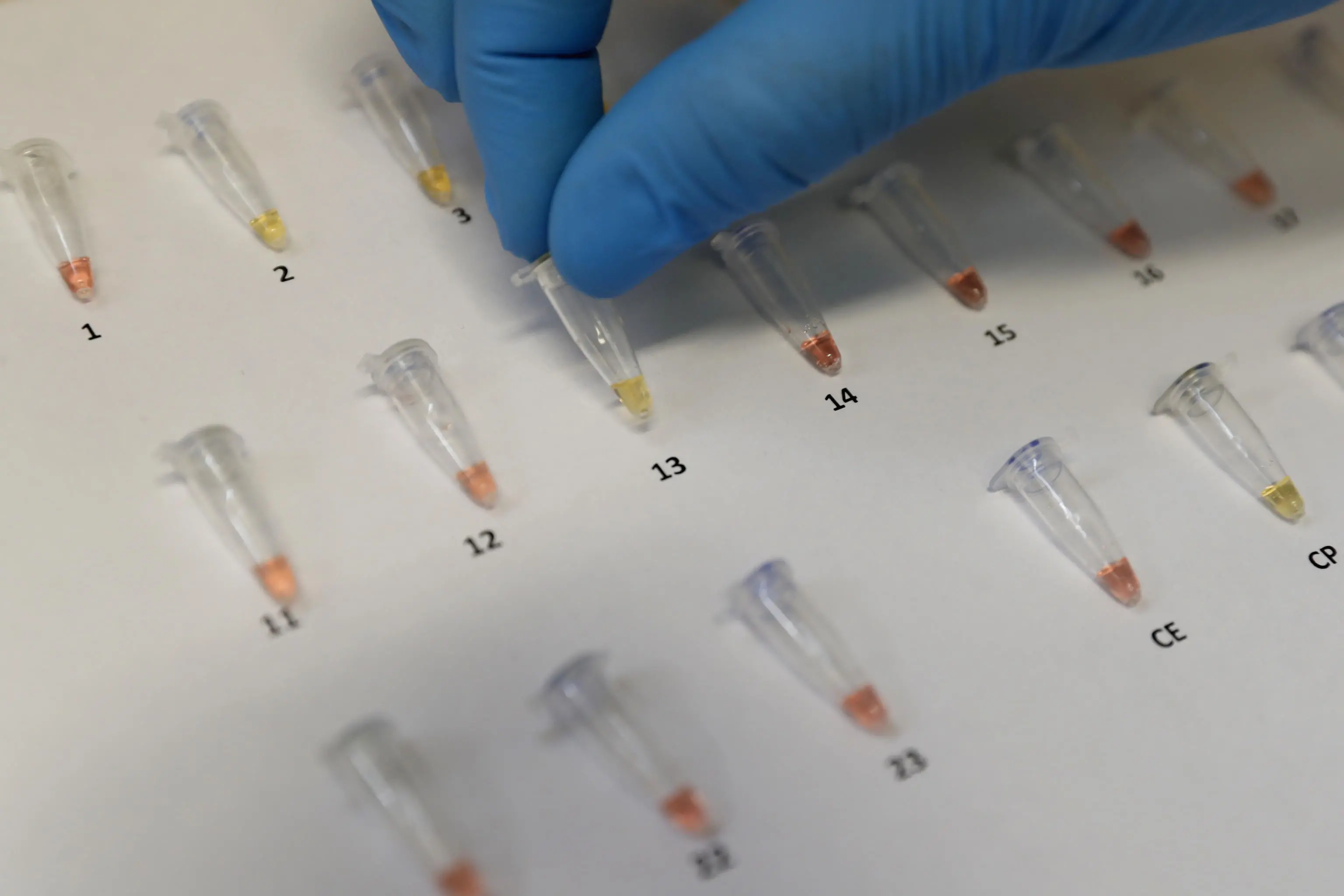 Salute: startup Singapore si espande in Usa con test anti-cancro