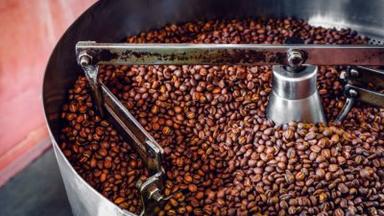 Nel 2025 in Italia prodotte 424.168 tonnellate di caffè tostato e solubile