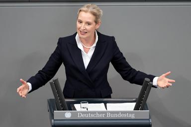 Alice Weidel, 'Schengen non funziona, espellere i migranti'
