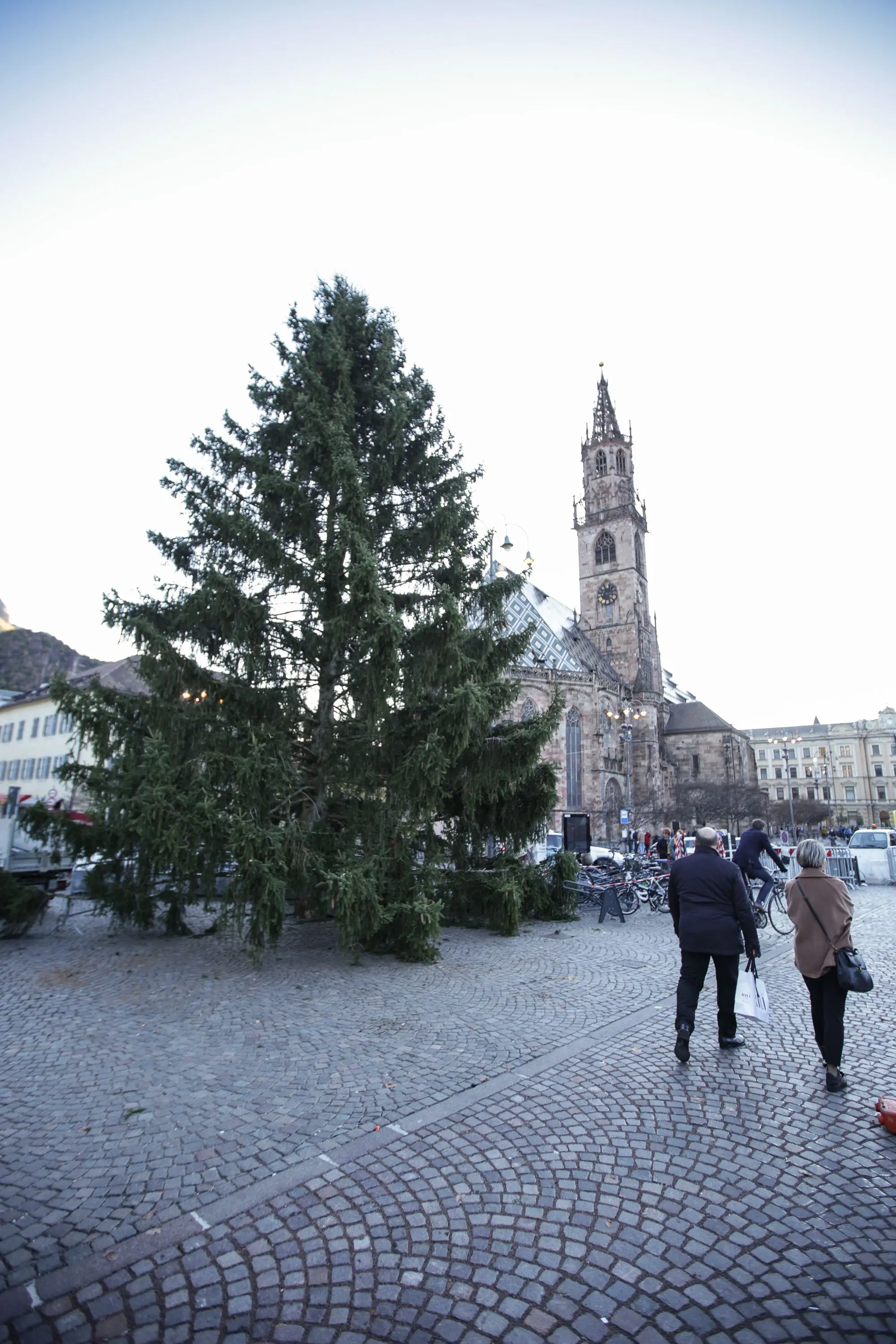 Bolzano, in piazza Walther è arrivato l'albero di Natale