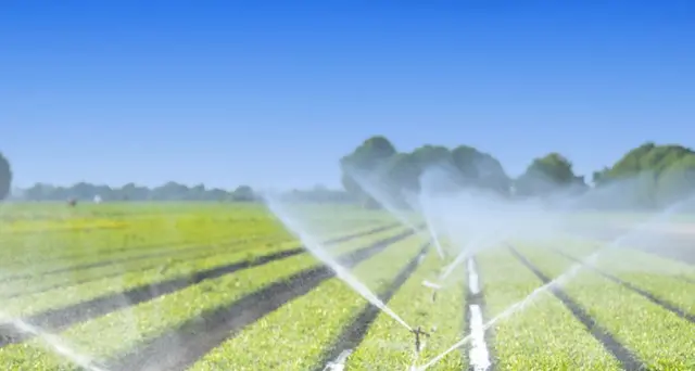 Alimentare: Camera, ok alla pdl sul Bio, torna al Senato