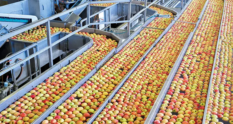 Vog Products, fatturato da 102 milioni: 40 liquidati alle coop associate
