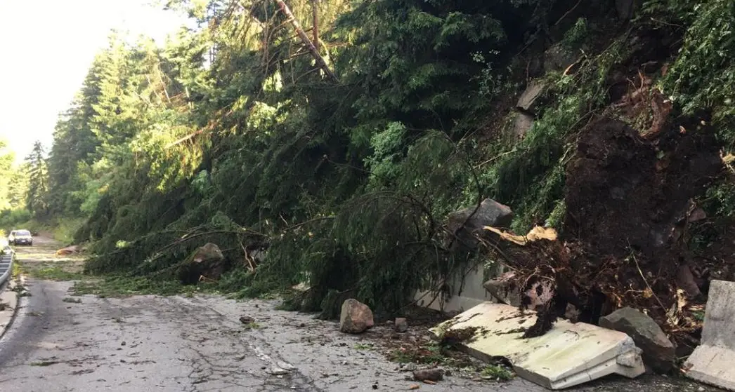 Alberi e rami sulla carreggiata: chiusa la strada fra Ponte Gardena e Pontives