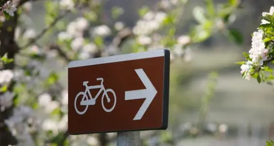 Ciclabile in via Laura Conti, ok al nuovo tratto