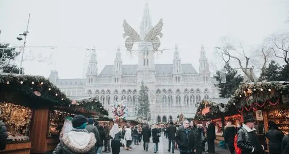 L'Alto Adige invierà l'albero di Natale a Vienna Sarà scelto un abete rosso di circa 25 metri di altezza