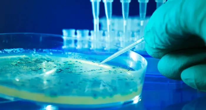 Al via i test sul “vaccino” anti-infarto: un farmaco da usare 2 volte l'anno