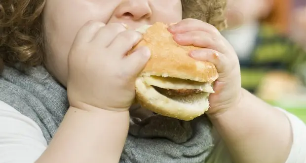 I genitori bolzanini contro il menù scolastico: «Il panino gourmet? Non piace ai bambini»