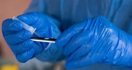 Omicron, primo caso in Alto Adige: è una donna tornata dal Sudafrica