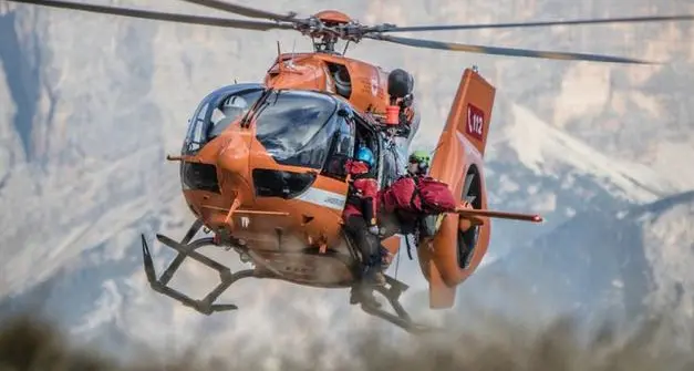Incidente mortale sul Renon: uomo travolto da un albero nel bosco