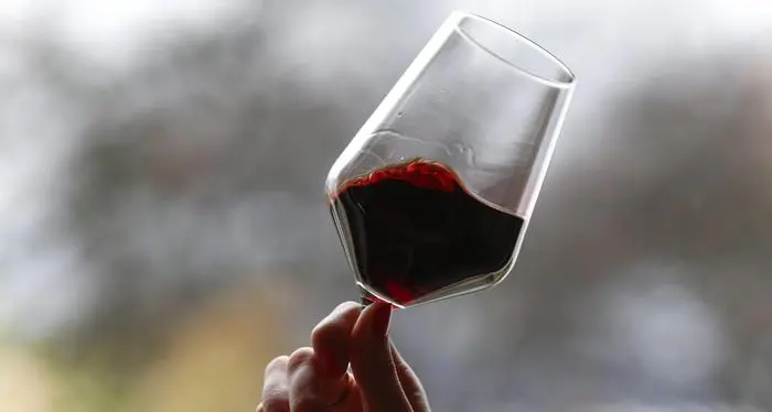 Un “bollino nero” sulle bottiglie di vino dall’Unione Europea? Produttori in fibrillazione, politici italiani pronti alla battaglia