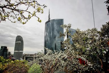 L'esperto, 'contro il caldo nelle città tetti verdi e meno asfalto'