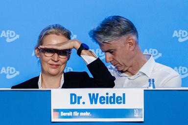 AfD, riprenderci il Sudtirolo? Una stupidaggine