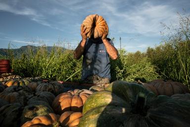 Agrosfera, oltre 1.800 immagini e audio raccontano chi lavora nell'agroalimentare